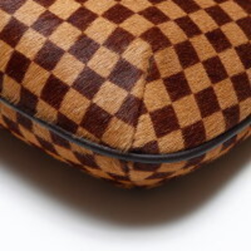 LOUIS VUITTON Damier Sauvage Tiger Handbag Brown - Picture 6 of 12